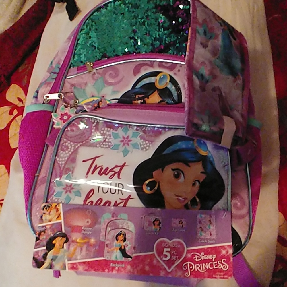 A brand new Disney Princess bookbag